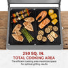 A top-down view of a two-burner Royal Gourmet portable grill with food cooking on black grates, placed on a wooden surface. The grill lid is open, and text at the bottom reads '250 SQ.