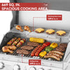 Built-In Gas Grill Head with Sear & Infrared Rear Burners