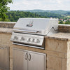Built-In Gas Grill Head with Sear & Infrared Rear Burners