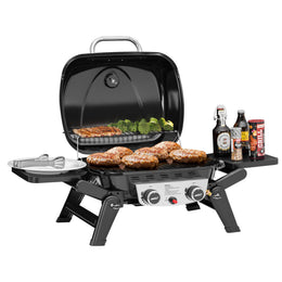 2-Burner Portable Propane Gas Grill