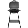 Portable 2-Burner Gas Grill with Stand and Shelf, Gray