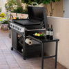 Outdoor Royal Gourmet grill with fruit and wine bottles on a patio