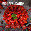 15-Inch Crawfish Plates for Outdoor & Indoor