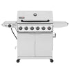 6-Burner BBQ Liquid Propane Gas Grill