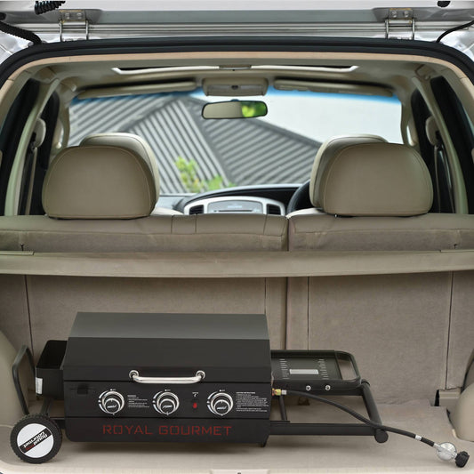 Portable Griddle with Collapsible Stand