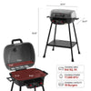 Portable 2-Burner Gas Grill with Stand and Shelf, Gray